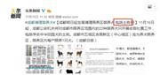 曲湿湿：杭州传出血腥打狗事件？被治理的应该是养狗人，不是狗
